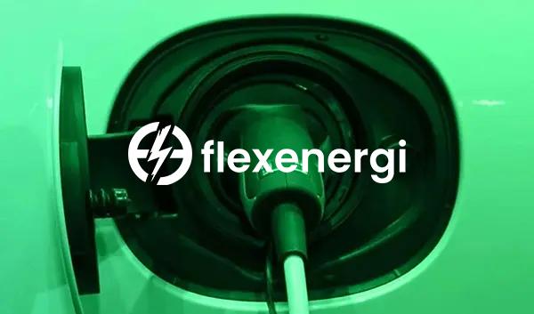 FlexEnergi